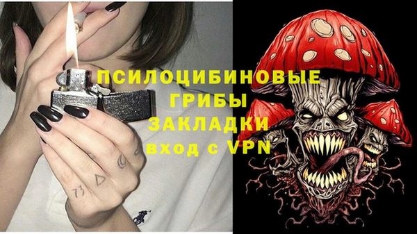трава Карпинск