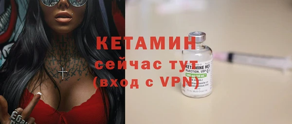 трава Карпинск