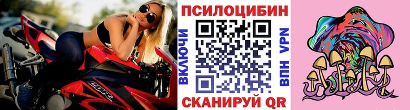 Купить закладки  Покачи  Галлюциногенные грибы MAGIC MUSHROOMS 